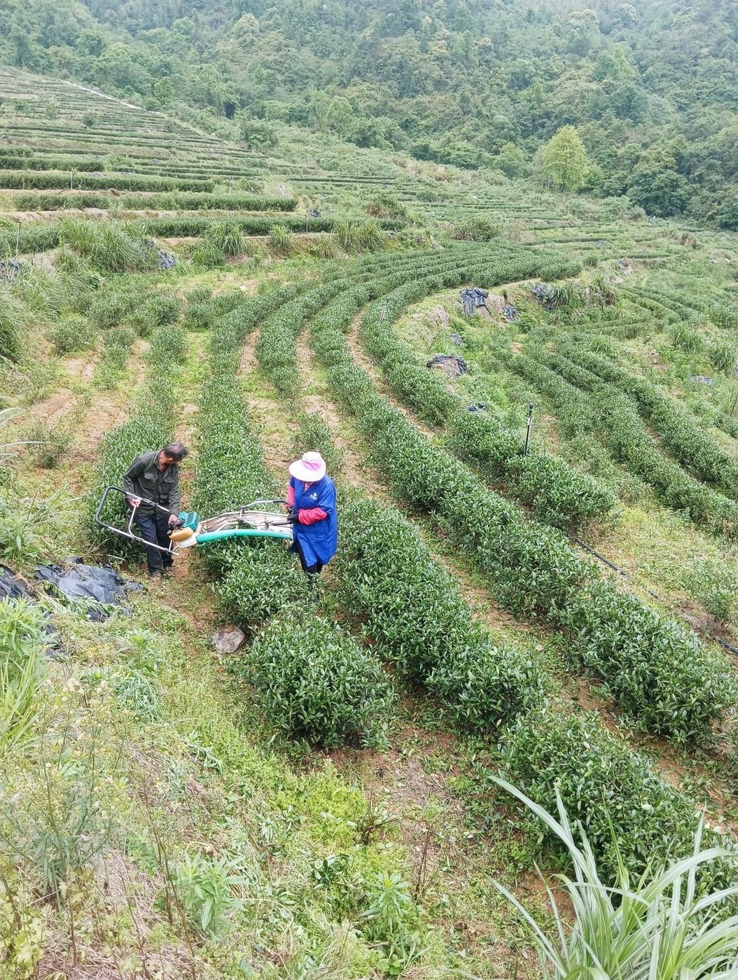 现场照片
