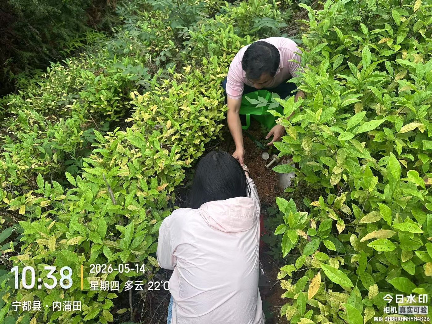 现场照片