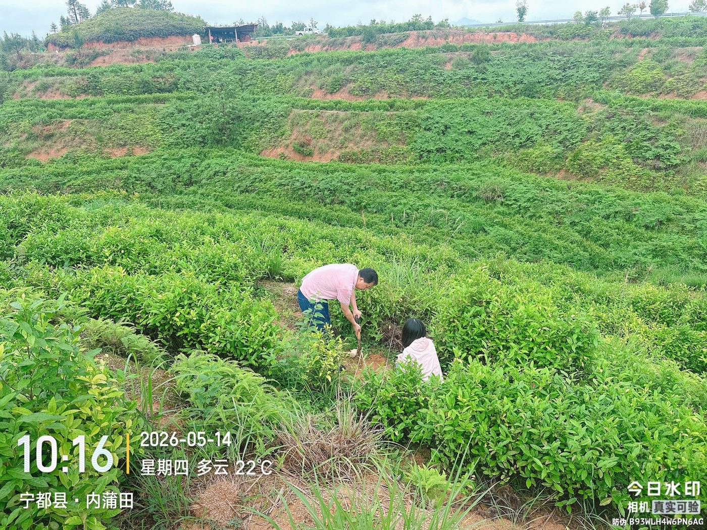 现场照片